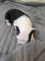 processed/16854be4-01dd-49e9-acc4-3332f1a6daef/listing/9b1a1ca2-c0e6-4617-9d69-cc04f7ba1f95/ee58e48f-2648-4e38-9f06-a91d081ddf36