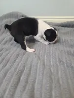 processed/16854be4-01dd-49e9-acc4-3332f1a6daef/listing/db3ee579-22b9-48c9-969d-2f34010c69e1/2e511f58-f30f-4187-adbf-8a3ce124f1cf