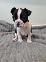 processed/16854be4-01dd-49e9-acc4-3332f1a6daef/listing/db3ee579-22b9-48c9-969d-2f34010c69e1/38024bb9-c59a-42bd-85c8-631e79232c36