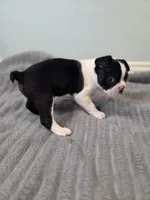 processed/16854be4-01dd-49e9-acc4-3332f1a6daef/listing/db3ee579-22b9-48c9-969d-2f34010c69e1/3c52f741-f960-4e44-aeb9-34ba19891b85