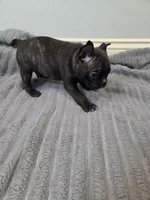 processed/16854be4-01dd-49e9-acc4-3332f1a6daef/listing/ec9581fd-3ec5-42d1-b290-5d2fbfd12e19/2e98c809-6af9-46c8-8e6e-777d25602ddc