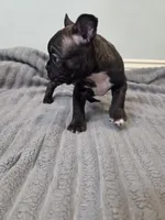 processed/16854be4-01dd-49e9-acc4-3332f1a6daef/listing/ec9581fd-3ec5-42d1-b290-5d2fbfd12e19/3166425b-4006-4bbe-9266-c5e41bb71c8e