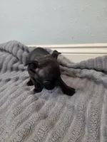 processed/16854be4-01dd-49e9-acc4-3332f1a6daef/listing/ec9581fd-3ec5-42d1-b290-5d2fbfd12e19/6578879c-11c0-4938-bf26-3de516eadef7