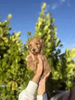 processed/16893693-8dcc-4839-b1b4-c1d4bd5f5645/listing/1d06a635-05c1-481f-82e6-f89b94212735/2aa47dc7-6b3a-4289-8ff6-e0a31190c4b3