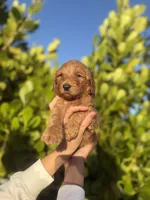 processed/16893693-8dcc-4839-b1b4-c1d4bd5f5645/listing/222201df-e786-47f9-a9c1-18a9e0b42911/a9fa67ab-f4d7-4021-84f9-c8a0f63ab086