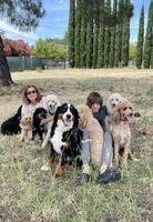 processed/16928add-6d23-4c73-b152-141cc8794fe4/facility/38809614-0bea-476b-918e-e3db27eca9f0