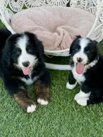 processed/16928add-6d23-4c73-b152-141cc8794fe4/facility/40a6b0c1-7b0d-4519-8775-a22017bcef3e