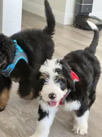 processed/16928add-6d23-4c73-b152-141cc8794fe4/facility/80b0a027-11bc-4751-954a-89cd81752b8b