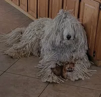 processed/1698b48d-8e37-4433-9efc-a166e28b0333/facility/3aa8ff0a-cb46-4c93-b0a7-e0fa45bb6022