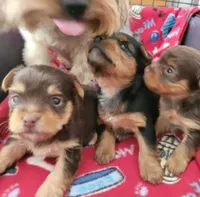 processed/1698b48d-8e37-4433-9efc-a166e28b0333/facility/ddc884ee-259f-48ac-b58f-0e155baf3311