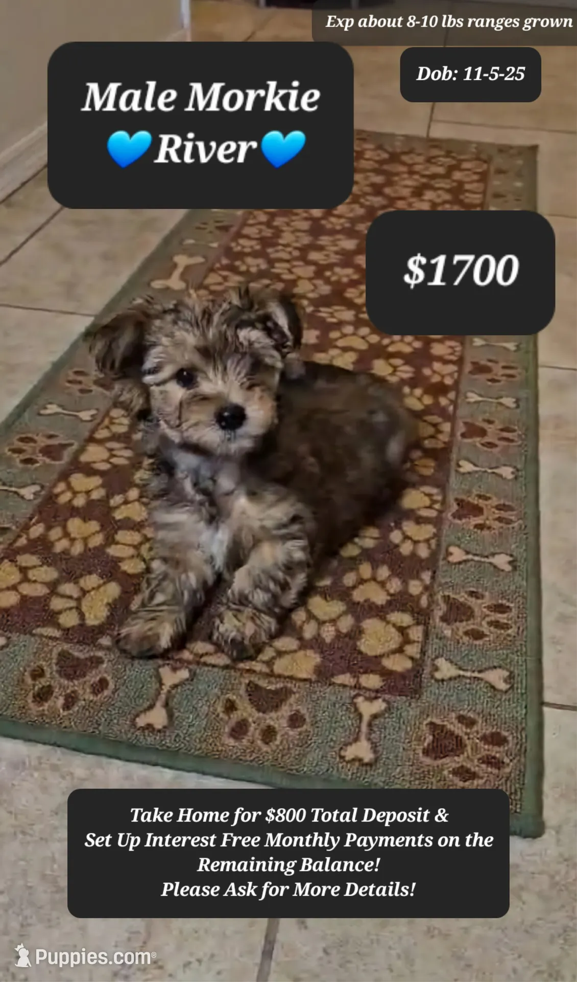 processed/1698b48d-8e37-4433-9efc-a166e28b0333/listing/0907cd51-5743-4da0-a7c1-97ab37c5e8c4/3dacd76f-0449-4e79-ac67-e39558bc9697