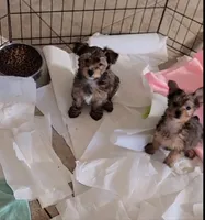 processed/1698b48d-8e37-4433-9efc-a166e28b0333/listing/1cfbbd84-72dc-4065-bb57-7c3827651de8/59ef7d0c-c342-41bf-9469-de9be74199f8