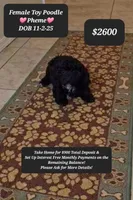 processed/1698b48d-8e37-4433-9efc-a166e28b0333/listing/2cd39948-5d3f-4b75-bf2d-bd47c69ab811/fd687518-77de-4cef-b612-c027dbaff0e2