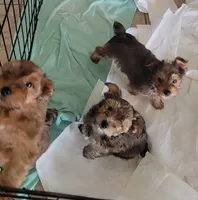 processed/1698b48d-8e37-4433-9efc-a166e28b0333/listing/323abe92-0a07-47c8-87bb-3ba7a62d05e3/dd2d49ab-0137-484c-b2e9-47e3474e1e05