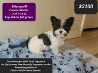 processed/1698b48d-8e37-4433-9efc-a166e28b0333/listing/eccda053-171c-4981-80b0-d3fa24ad6bec/7bd5047a-8706-406a-af1c-af3c2c319d71