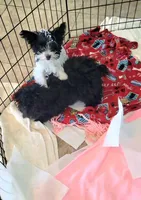 processed/1698b48d-8e37-4433-9efc-a166e28b0333/listing/eccda053-171c-4981-80b0-d3fa24ad6bec/cd981654-07ea-462a-b232-a975261db7e5