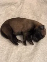 processed/169ac0b1-c05e-4176-9cd5-f1bf000166a3/listing/0ca9ec17-514f-436c-991d-2ed2c26149f7/0e0ea677-1809-4c7e-b87a-30aeaee2c6ee