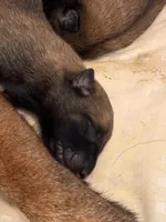 processed/169ac0b1-c05e-4176-9cd5-f1bf000166a3/listing/0ca9ec17-514f-436c-991d-2ed2c26149f7/67434586-da15-4cb7-8c6a-4bc3ea7dd237