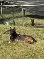 processed/169ac0b1-c05e-4176-9cd5-f1bf000166a3/listing/0ca9ec17-514f-436c-991d-2ed2c26149f7/9c0fa985-fe65-44f7-96d0-91c9175ed6b4