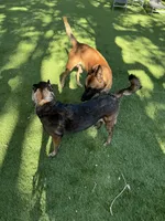 processed/169ac0b1-c05e-4176-9cd5-f1bf000166a3/listing/0ca9ec17-514f-436c-991d-2ed2c26149f7/b643756b-7262-43e0-87e2-b6c88afb8d41