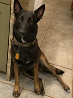 processed/169ac0b1-c05e-4176-9cd5-f1bf000166a3/listing/0ca9ec17-514f-436c-991d-2ed2c26149f7/e6d157aa-eebf-43fd-be56-6671901e534b