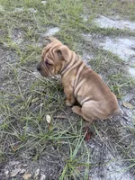 processed/16a3246a-80ce-43a0-993d-78a3135019c7/listing/cf748f4d-7d75-48f4-8119-a5672bfdba39/4b9cc803-50ff-4882-b90d-6f4458db6cde