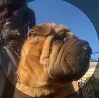 processed/16a3246a-80ce-43a0-993d-78a3135019c7/listing/cf748f4d-7d75-48f4-8119-a5672bfdba39/5eb9cccd-81aa-4900-8e4a-1e41e0ae4ec7