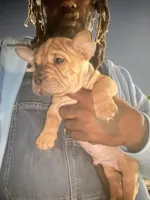 processed/16a3246a-80ce-43a0-993d-78a3135019c7/listing/cf748f4d-7d75-48f4-8119-a5672bfdba39/79890812-bf26-4aa3-a18b-ddd65476b91c