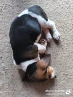 processed/16a37d5d-44b0-46a0-bf85-f59e29effe4c/listing/508056f8-aef1-44a7-9ca5-dec86b27bd52/4e34fde6-6e40-4b2d-9aed-ab0a4ba5ce9b