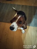 processed/16a37d5d-44b0-46a0-bf85-f59e29effe4c/listing/508056f8-aef1-44a7-9ca5-dec86b27bd52/549b13f3-39d4-46d4-9bd5-fd65c1d1bc5a