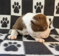 processed/16a596b6-07c6-4164-bbd4-291eeb0b0fea/listing/97362444-329a-43bc-b501-91b2c9441ea7/129b604c-bab4-4067-9fd9-d954da3d0420