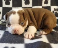 processed/16a596b6-07c6-4164-bbd4-291eeb0b0fea/listing/97362444-329a-43bc-b501-91b2c9441ea7/160bcd38-5861-4e1b-9ff9-bbeccfe988d2