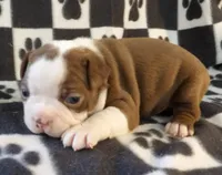 processed/16a596b6-07c6-4164-bbd4-291eeb0b0fea/listing/97362444-329a-43bc-b501-91b2c9441ea7/1cfef82f-9154-4af5-a078-d63587100da2