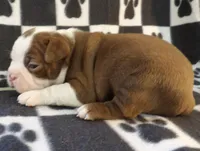 processed/16a596b6-07c6-4164-bbd4-291eeb0b0fea/listing/97362444-329a-43bc-b501-91b2c9441ea7/31426582-34a5-4be6-b96a-bce11cda3f19