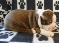 processed/16a596b6-07c6-4164-bbd4-291eeb0b0fea/listing/97362444-329a-43bc-b501-91b2c9441ea7/66306ba4-71d4-4748-8624-68f4de210e75