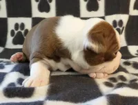 processed/16a596b6-07c6-4164-bbd4-291eeb0b0fea/listing/97362444-329a-43bc-b501-91b2c9441ea7/7703452e-828e-4268-a616-485216d75309