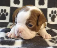 processed/16a596b6-07c6-4164-bbd4-291eeb0b0fea/listing/97362444-329a-43bc-b501-91b2c9441ea7/897afebb-243d-4686-8139-c4562812a7f9