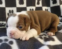 processed/16a596b6-07c6-4164-bbd4-291eeb0b0fea/listing/97362444-329a-43bc-b501-91b2c9441ea7/bc18b732-1779-4501-9229-007a74c10d0b