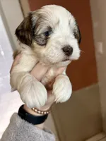 processed/16ab03f2-fd91-4730-8d78-47fb8442b815/listing/7f1cce34-7323-4adf-a81c-a356e0cecf18/24f612dd-c470-4cce-ac96-74e908bce985