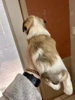 processed/16ab03f2-fd91-4730-8d78-47fb8442b815/listing/7f1cce34-7323-4adf-a81c-a356e0cecf18/621463cf-5d07-472c-83ca-747fe2e70d2d