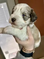 processed/16ab03f2-fd91-4730-8d78-47fb8442b815/listing/7f1cce34-7323-4adf-a81c-a356e0cecf18/84ac563b-762b-4afe-b753-9bd49bb8859e