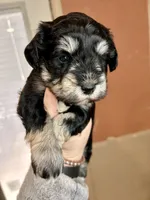 processed/16ab03f2-fd91-4730-8d78-47fb8442b815/listing/e997bf2d-7967-4962-b164-494e0c3aeedd/78b562e8-cb17-4c96-937f-b8470e4577fd