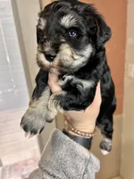 processed/16ab03f2-fd91-4730-8d78-47fb8442b815/listing/e997bf2d-7967-4962-b164-494e0c3aeedd/adc3aee9-4934-42cf-a98f-d282c9d11876