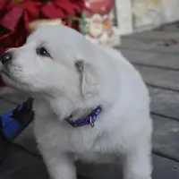 processed/16b26b31-823d-4f29-ad2e-bea0528c4b7f/facility/02af5ef9-d920-48c6-9bf1-56b50d0be20e