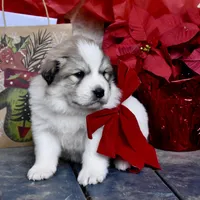 processed/16b26b31-823d-4f29-ad2e-bea0528c4b7f/facility/5f40b77c-1359-4106-980e-da700ea497d4