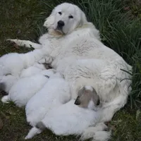 processed/16b26b31-823d-4f29-ad2e-bea0528c4b7f/facility/b1197f40-de2e-4aa4-957e-985a34e1251e