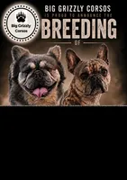 Blue Collar, a male French Bulldog for sale in Crystal River, FL – 5 of 5
