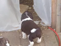 processed/16ba85ae-15a3-467d-a6d3-223cf5adf7bd/listing/115788b9-f407-44aa-9223-bab9e3cf1dff/63147b2a-e202-4a2a-afc2-549dc9d69f7c