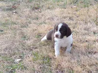 processed/16ba85ae-15a3-467d-a6d3-223cf5adf7bd/listing/115788b9-f407-44aa-9223-bab9e3cf1dff/7fb77dc0-6c38-472e-aef6-6c6d65b29c41