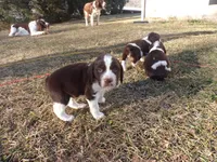 processed/16ba85ae-15a3-467d-a6d3-223cf5adf7bd/listing/22763d02-2dce-4da3-85d0-b3be90b43f23/052f1d1b-b481-4803-a7d7-f288e337b675